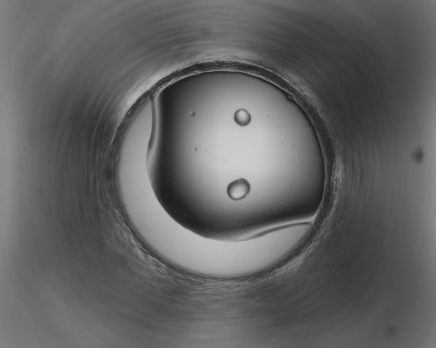 X0000116670877200912291656