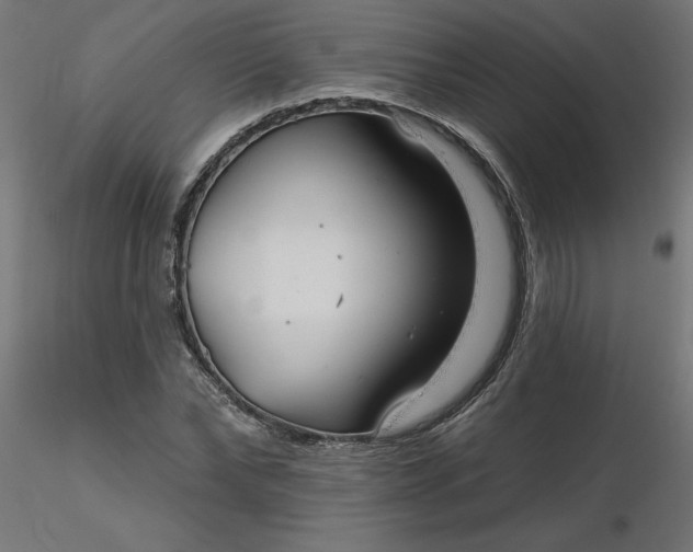 X0000116670878200912291656