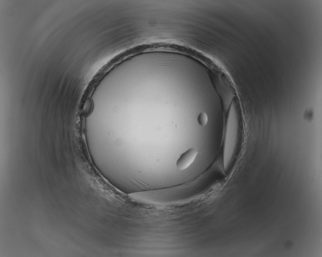 X0000116670879200912291656