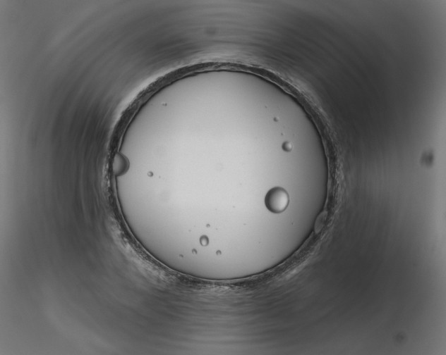 X0000116670880200912291656