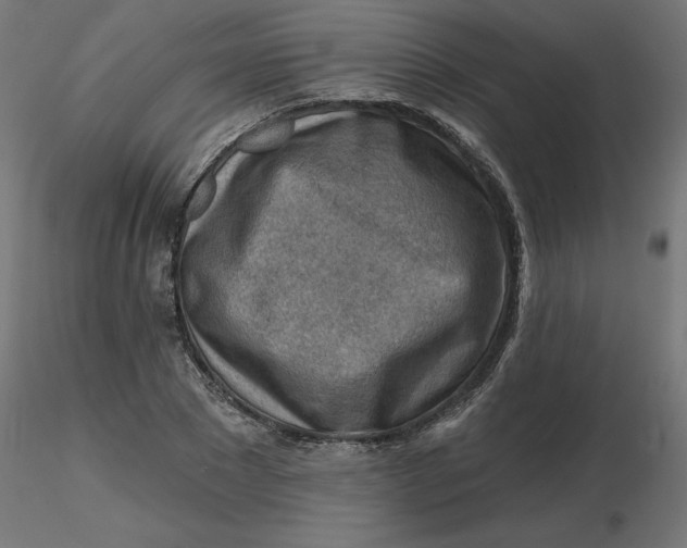 X0000116670881200912291656