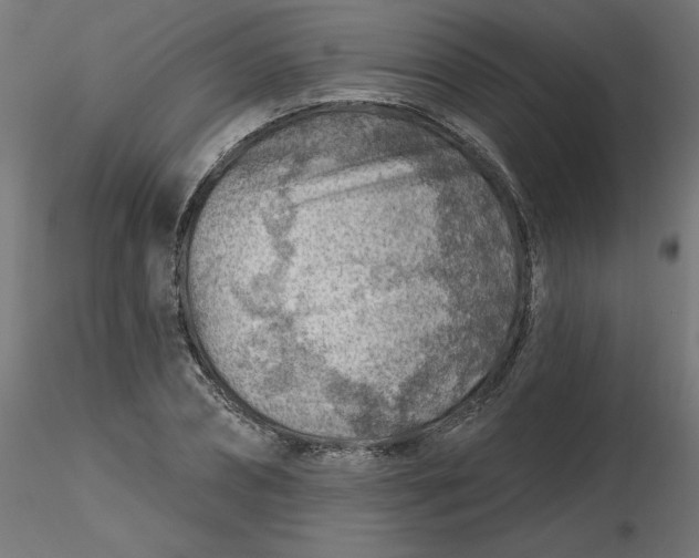 X0000116670882200912291656