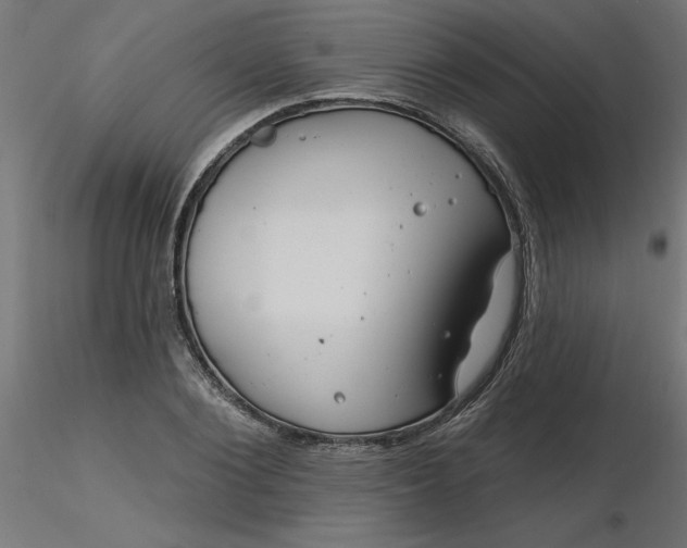 X0000116670884200912291656