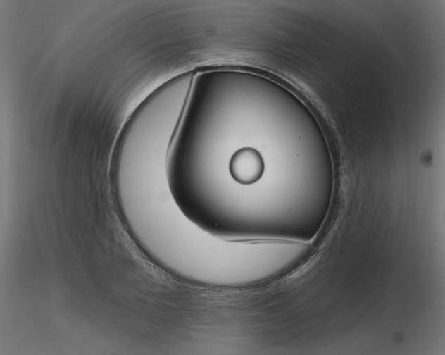 X0000116670885200912291656