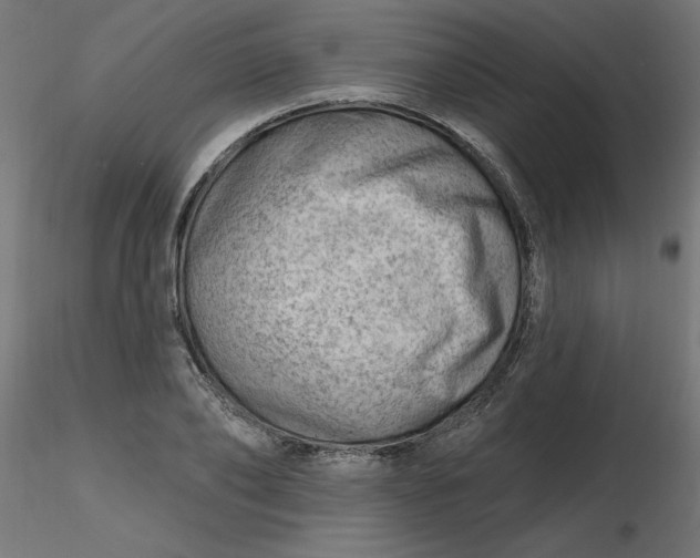 X0000116670886200912291656