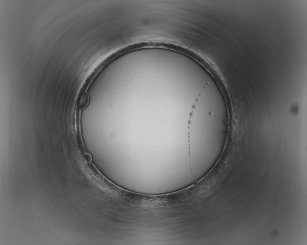 X0000116670887200912291656