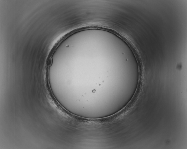 X0000116670888200912291656