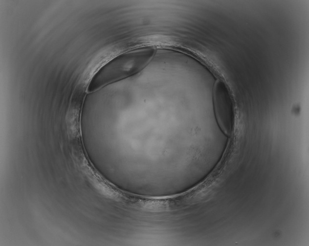 X0000116670889200912291656