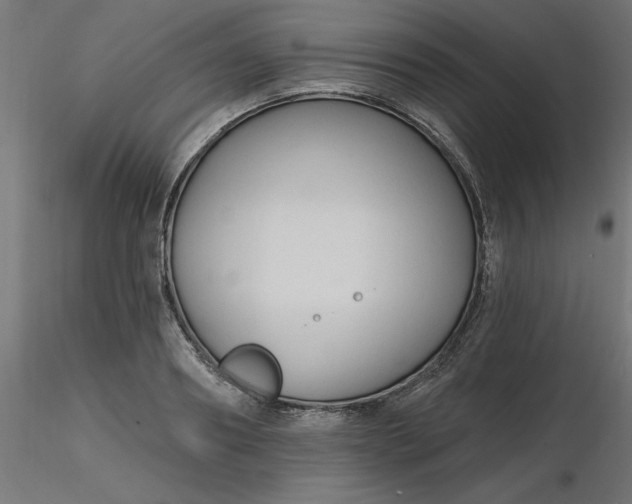 X0000116670890200912291656