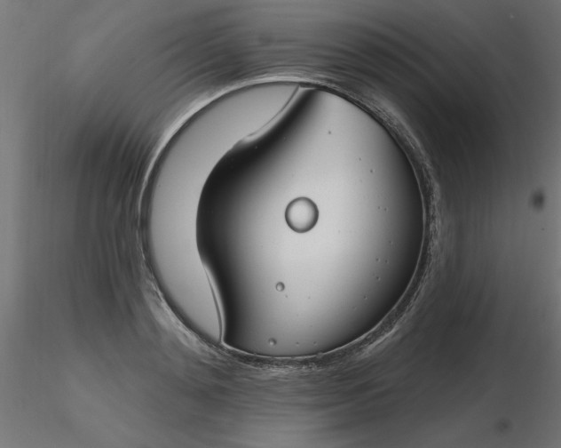 X0000116670892200912291656