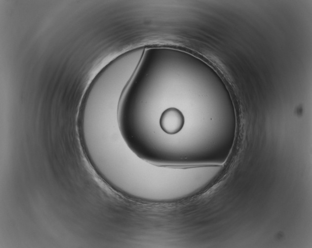 X0000116670893200912291656