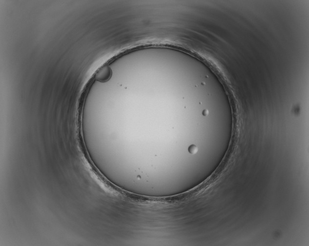 X0000116670894200912291656