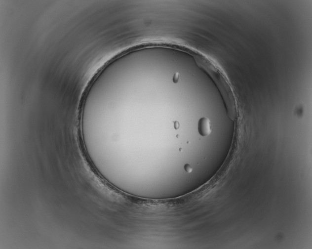 X0000116670895200912291656