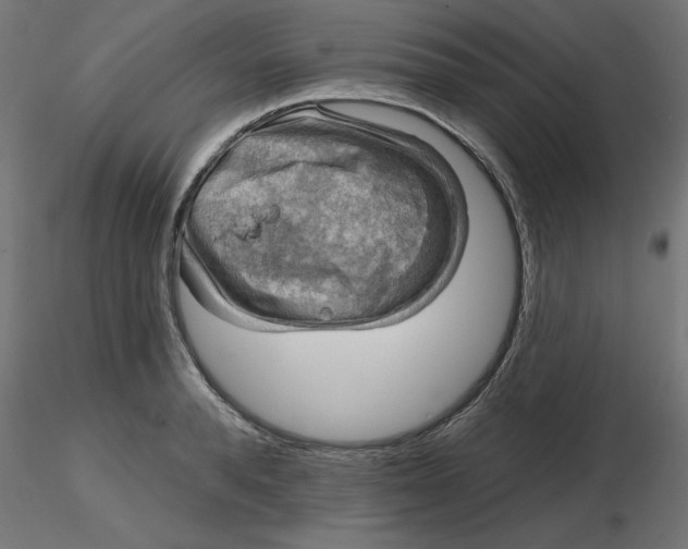 X0000116670896200912291656