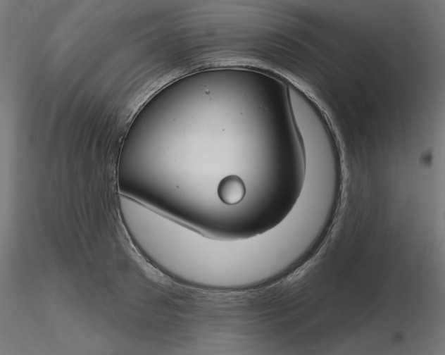 X0000116670897200912291656