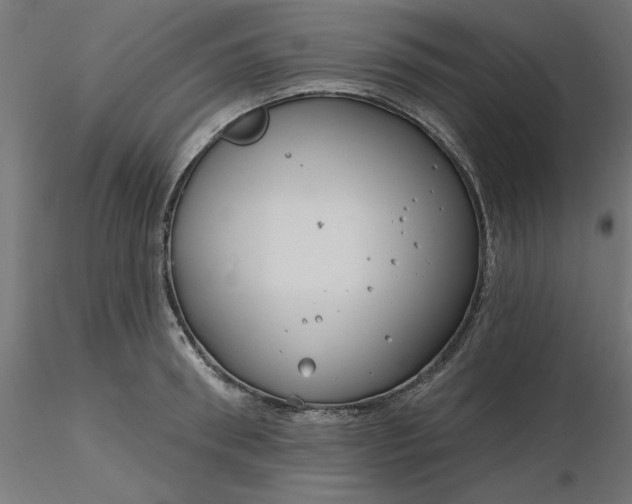 X0000116670898200912291656