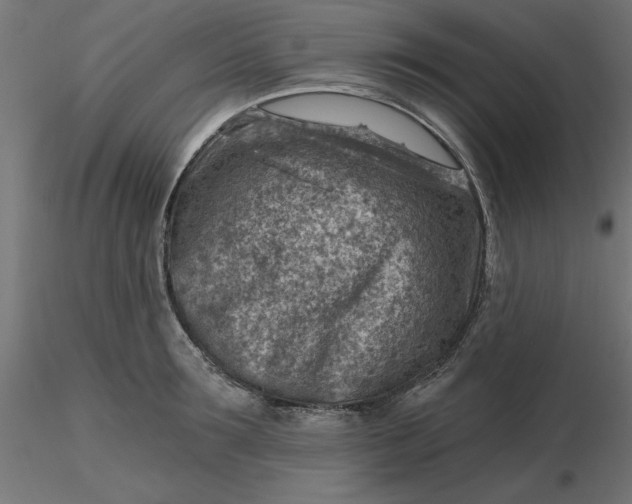 X0000116670899200912291656