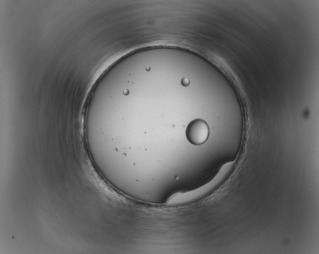 X0000116670900200912291656