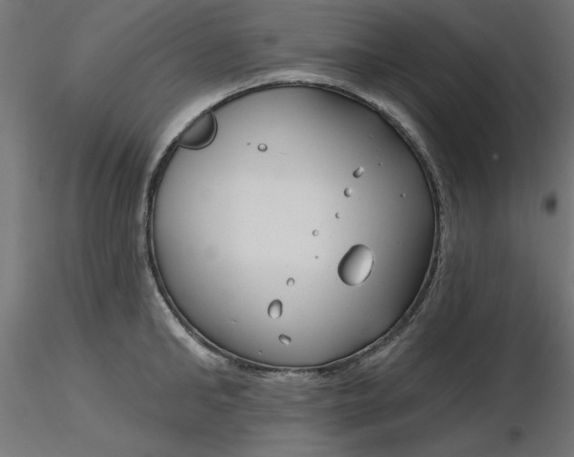 X0000116670902200912291656