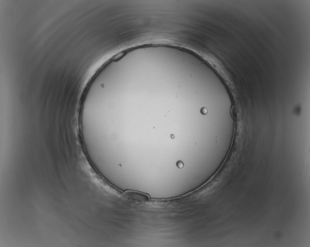 X0000116670904200912291656