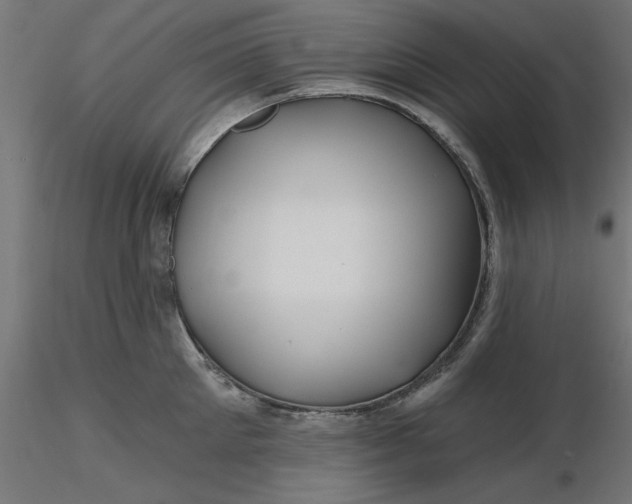 X0000116670905200912291656