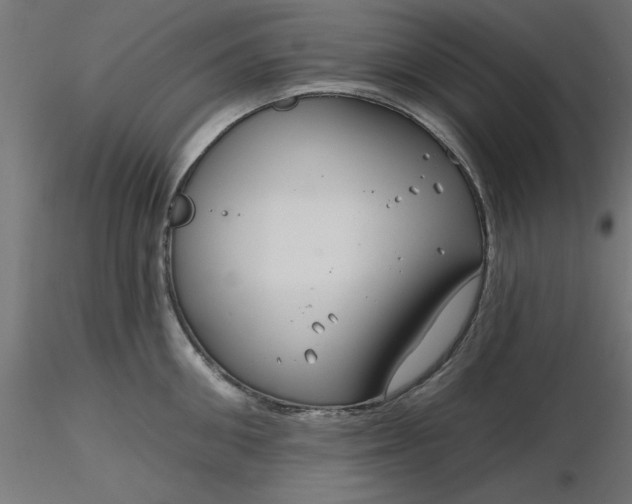 X0000116670906200912291656