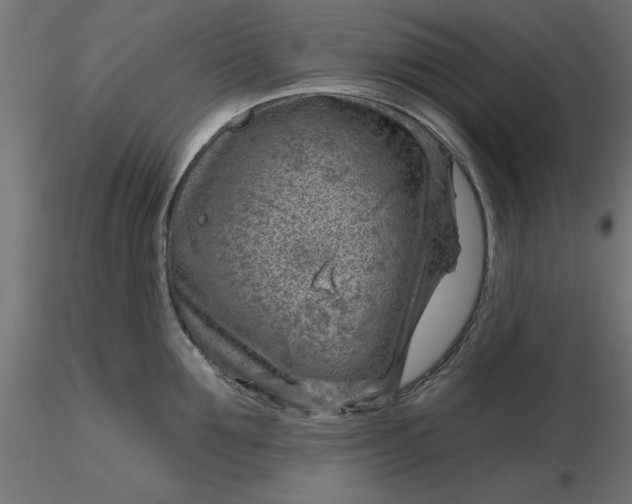 X0000116670907200912291656