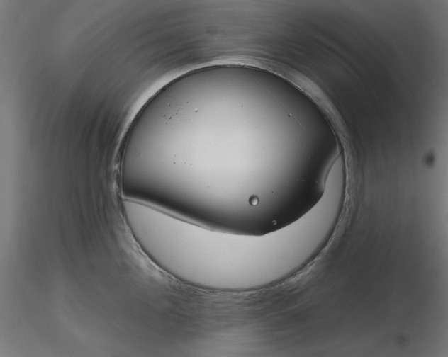 X0000116670908200912291656