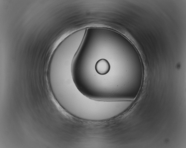 X0000116670909200912291656