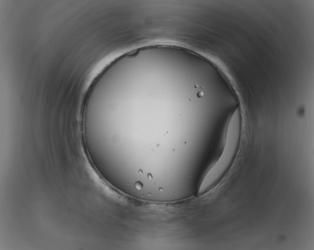 X0000116670910200912291656