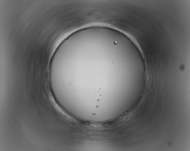 X0000116670911200912291656