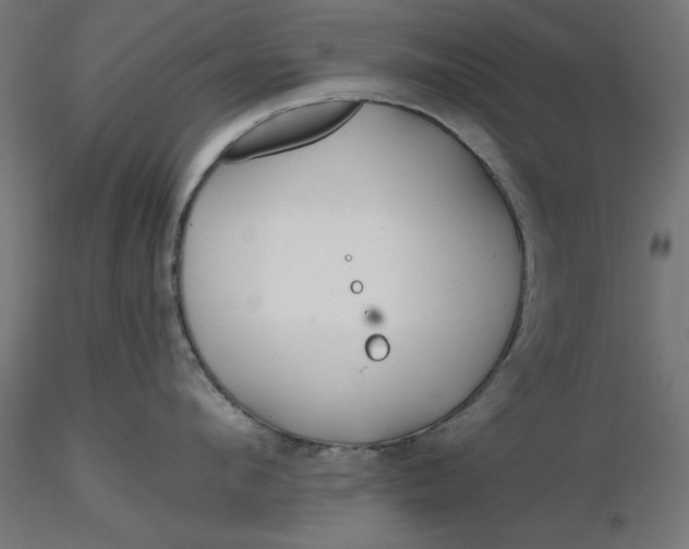 X0000116670912200912291655