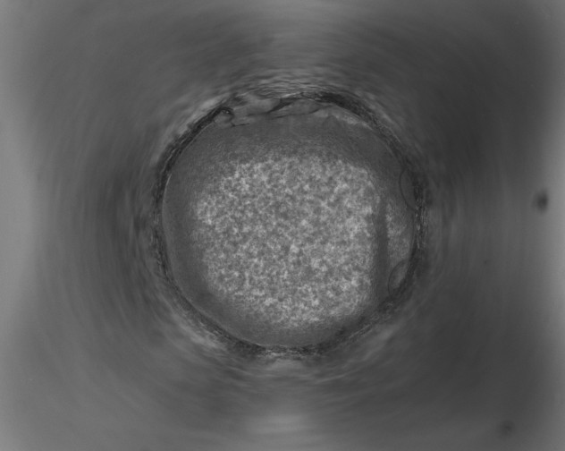 X0000116670913200912291655