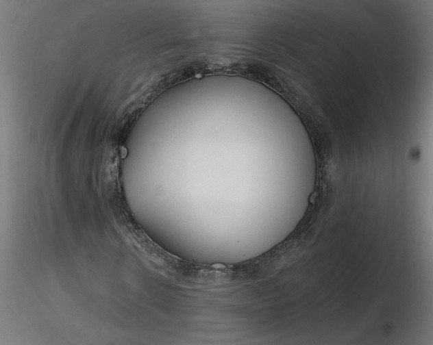 X0000116670914200912291655