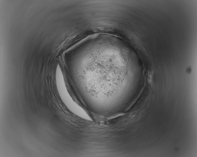 X0000116670915200912291655