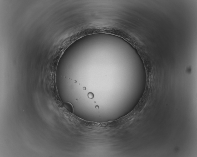 X0000116670917200912291655