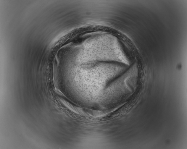 X0000116670919200912291655