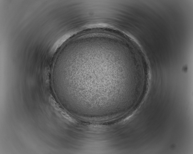 X0000116670921200912291655