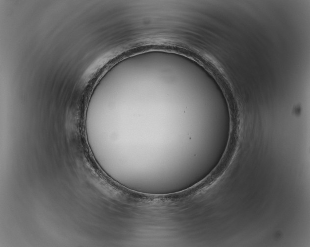 X0000116670922200912291655