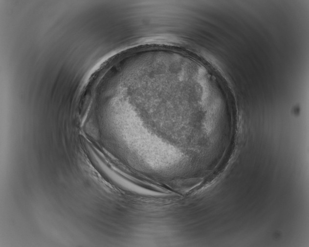 X0000116670923200912291655