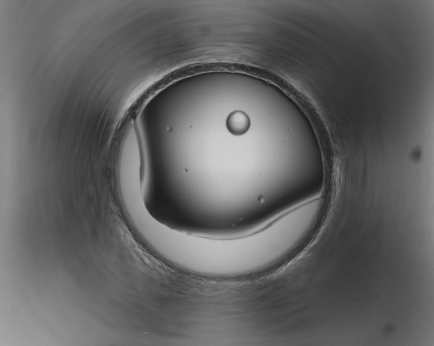 X0000116670925200912291655