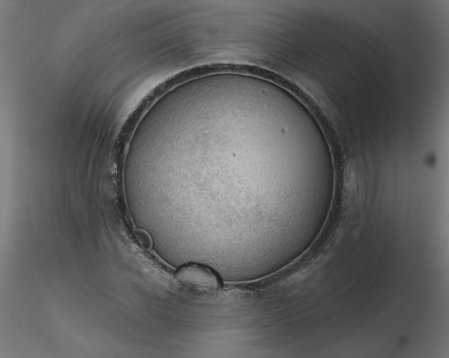 X0000116670926200912291655