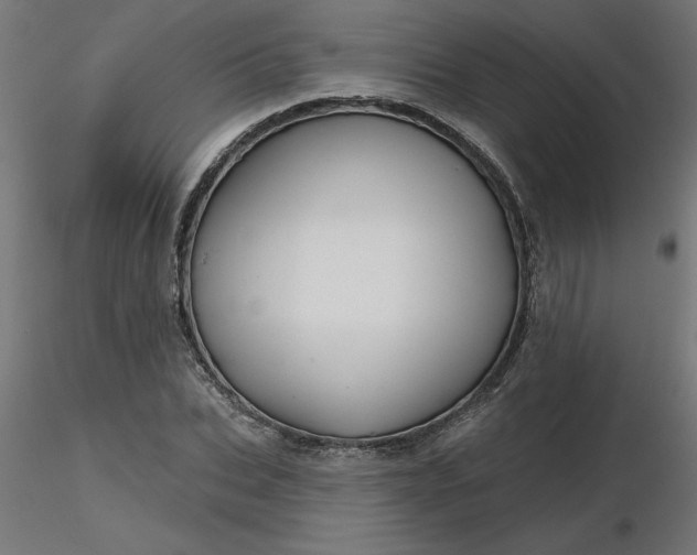 X0000116670927200912291655