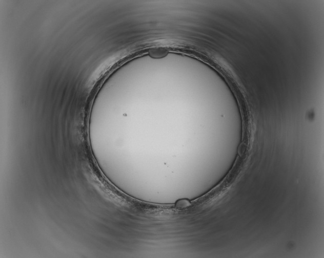 X0000116670930200912291655