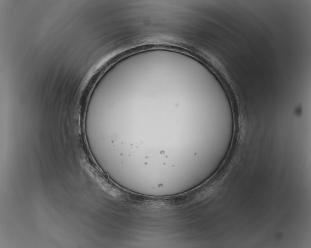 X0000116670931200912291655