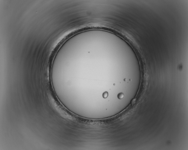 X0000116670934200912291655