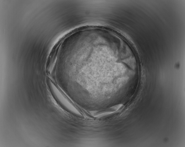 X0000116670935200912291655