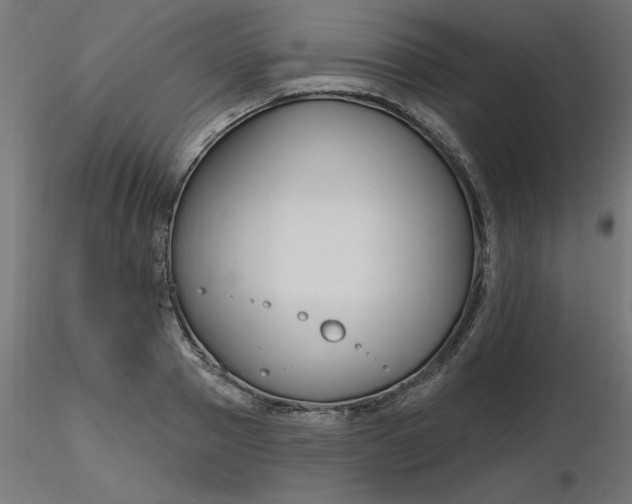 X0000116670937200912291655