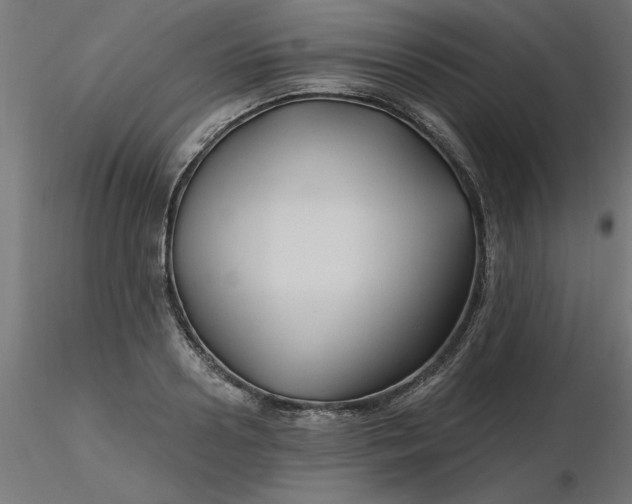 X0000116670938200912291655