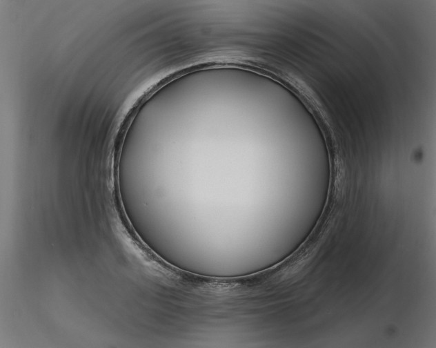 X0000116670939200912291655